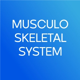 سیستم عضلانی اسکلتی